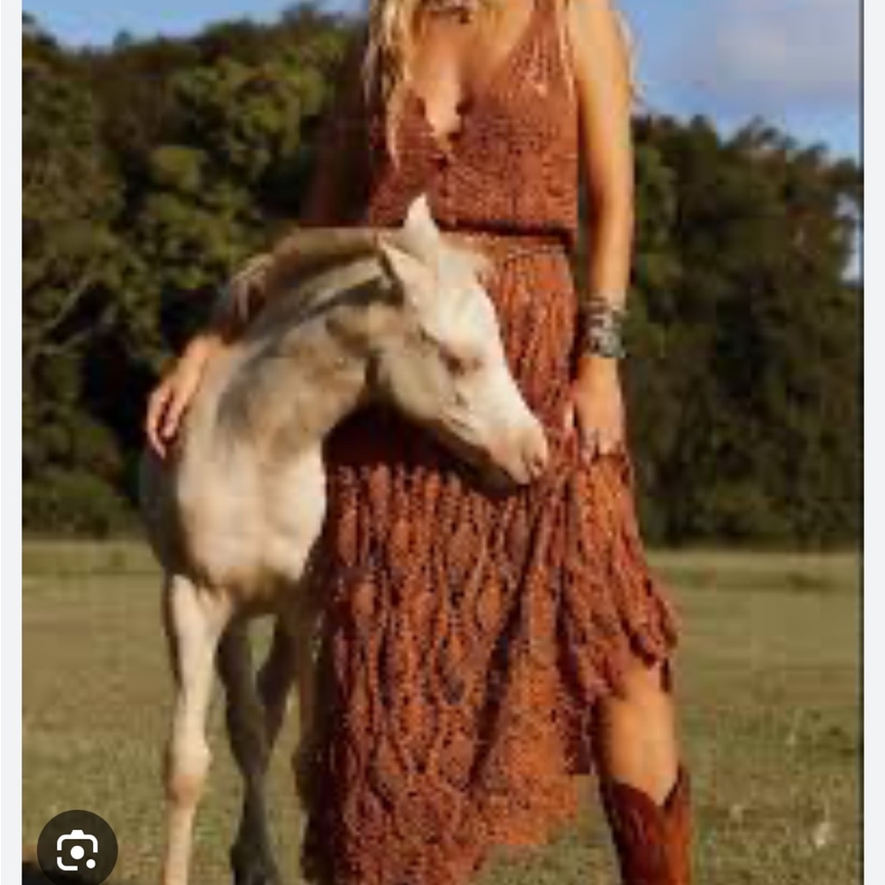Chasing Unicorns Searching For My Love Crochet + Lurex Maxi Dress - Picture 3 of 15